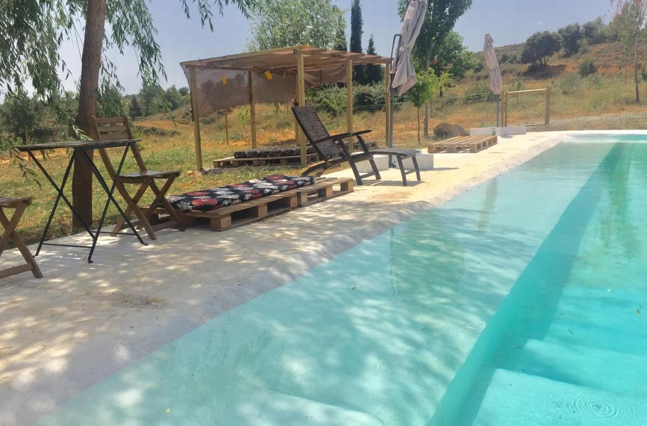 Mas De Leon Guest House Cortes de Arenoso Exterior photo